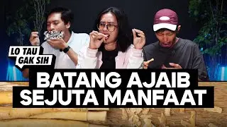 LO TAU GAK SIH? GEN Z GATAU BATANG YANG SATU INI. NORAK! #lotaugaksih