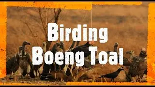 Boeng Toal Vulture Restaurant Birding Tour Destination in Cambodia