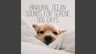 Oceanic Surface