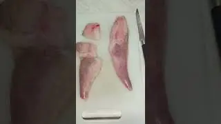 Rape con almejas y cigalitas, f&aacute;cil y delicioso@lacocinadepipo9733