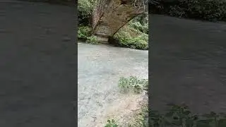 Kawasan River l Kawasan Falls l #kawasanfalls #buhayprobinsya