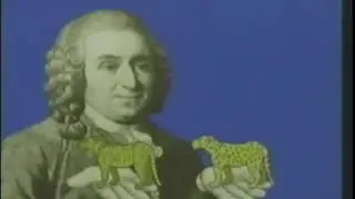 Organic Evolution 1 In the Beginning