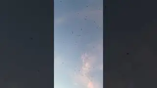 Hawk migration kettle