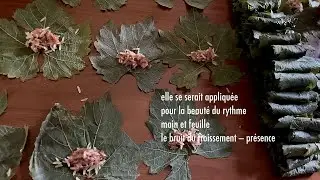 même patience de bras ouverts | gracia bejjani