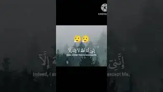 Psychological comfort😮&zwj;💨 #like #shortvideo  #subscribe #memes