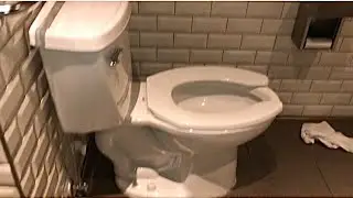 2020 American Standard PA Cadet Toilet