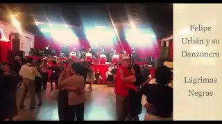 Felipe Urbán y su Danzonera - Lágrimas Negras