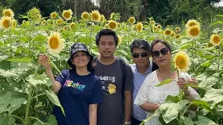 Day Out @ Shun Sum Yuen Farm 🌻 with Family | 2022