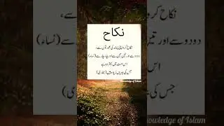 Nikah |🥹🥰😘💓💗🫀|#islamicviralshort #newshort #subscribemychannel #knowledgeofislam #loveallah