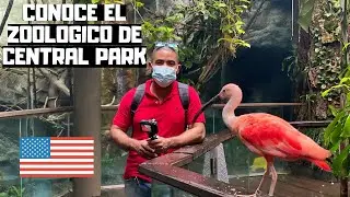 Visitando ZOOLOGICO DEL CENTRAL PARK NEW YORK 2020.