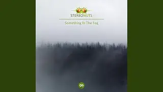 Something In The Fog