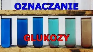 Oznaczanie glukozy - odczynnik Benedicta, paski testowe