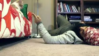 Babbu vs. Cat
