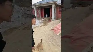 （1696）牛牛阿娜日常生活 给媳妇建房日常
