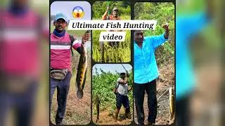 Ultimate Snake head fish hunting video don't miss it friends....@Delve-into-the- Fishing world 🌎