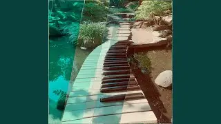 Safe Forever