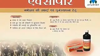 हमेशा रखना याद, पिलाना एक्सापार ब्याने के बाद। होगी गर्भाशय  की सफाई, अधिक दूध और ज्यादा कमाई।