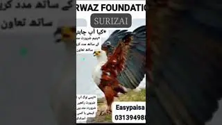 RAMADAN Help for poor people #foryou #shortvideos #foryoupage #donationfood #like_and_subscribe