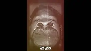 Mr Kiei Leiataua - VILIAMU ( AI music Official Audio 2026)