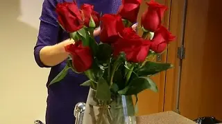 Are Those Valentine's Day Roses Really Worth It?