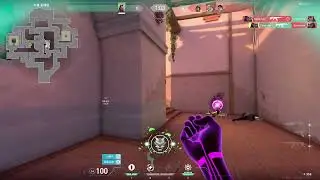 another normal valorant ace