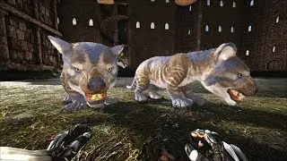 ARK: Survival Evolved-.#59 Мод CKF.Выращиваем сумчатых львов.