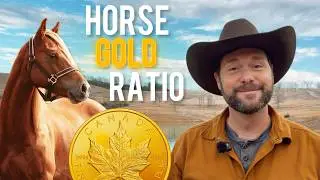 The Gold-to-Horse Ratio: 4,000 Years of Real Money