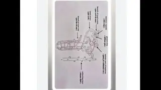 Draw a important diagrams #nefron class10 biology using easy tips #video nefron video drawing 