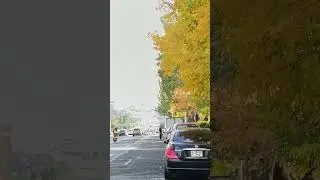Yerevan' Armenia🇦🇲 is very beautiful in fall season #armeniancity