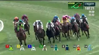 VOYAGE BUBBLE - Hong Kong Mile 2025 (3YO+ WFA G1) Группа 1 Ша Тин, Гонконг, 14 декабря