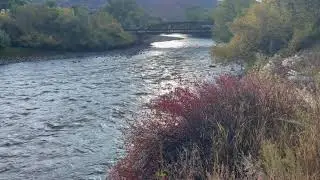 ArkAnglers Arkansas River Fishing Report from Salida, Colorado.
