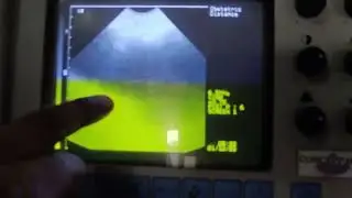 USG of TP/TRP in a cow