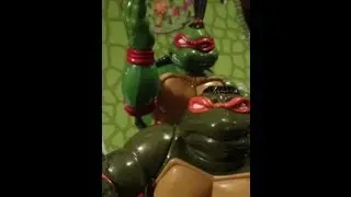 Sumo Michaelangelo 95' & Kung Fu Raphael 94' (Shell #325)