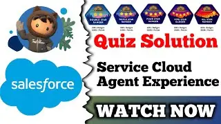 Опыт работы с агентом Service Cloud | Salesforce Trailhead | Решение для викторины