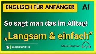 ✅ Englisch im Alltag (A1):  Mein Haustier | So sagt man das im Alltag!