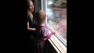 Zoe licking window