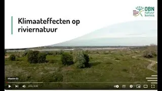 Klimaateffecten op riviernatuur -  welke maatregelen kun je nemen
