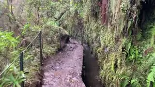 Walking in the Levadas, Santana, Madeira