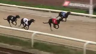 2021 ARC DUAL DISTANCE FINAL - T3 COLD AS ICE