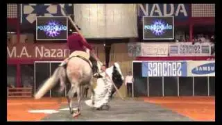 Espectaculo ecuestre Tatiana Garrido y Pedro C&oacute;rdoba para rosapeula