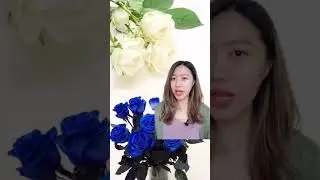 5 MAKNA DARI WARNA BUNGA MAWAR