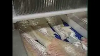 Cozzini SuspenTec Fish