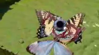 Human-Insect-Hybrid-Machine