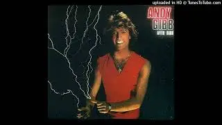 After Dark (Instrumental)-Andy Gibb