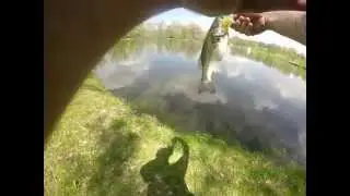 Fishing 4-14-5 (TopWaterAssassin78)