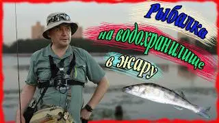 Рыбалка на Химкинском водохранилище в жару. Окунь и судак на микроджиг