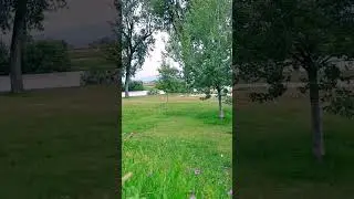 Som do vento nas folhas das &aacute;rvores, video simples para relaxar  e se conectar com a natureza 🌳💙