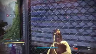 Pug stomping till I get ripped