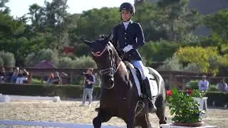 KOLDO JL II — Preliminar 5 años CAMPEONATO DE ANDALUCÍA DE DOMA CLÁSICA 2021 Dos Lunas