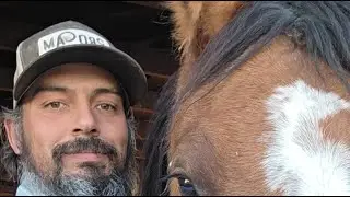 4 New Shoes on Rush (Clydesdale Quarter Horse cross) and Chatting!